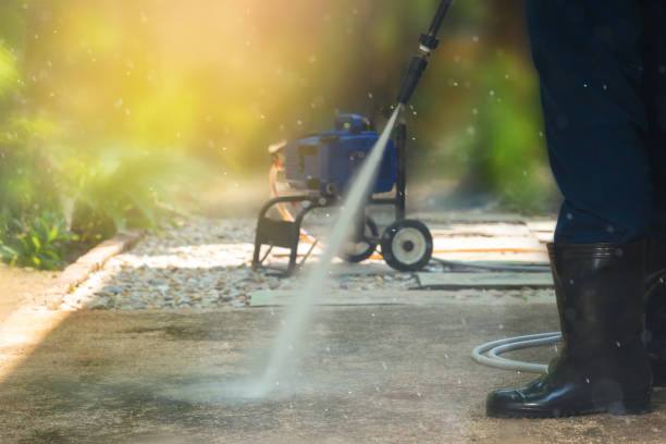 Animal Enclosure Cleaning in St Georges, DE